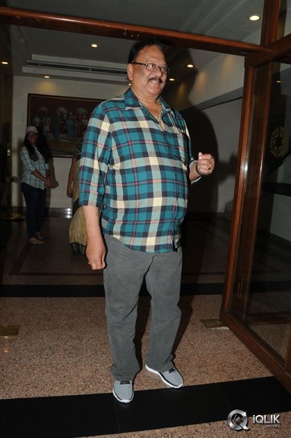 Rudramadevi-Movie-Success-Meet